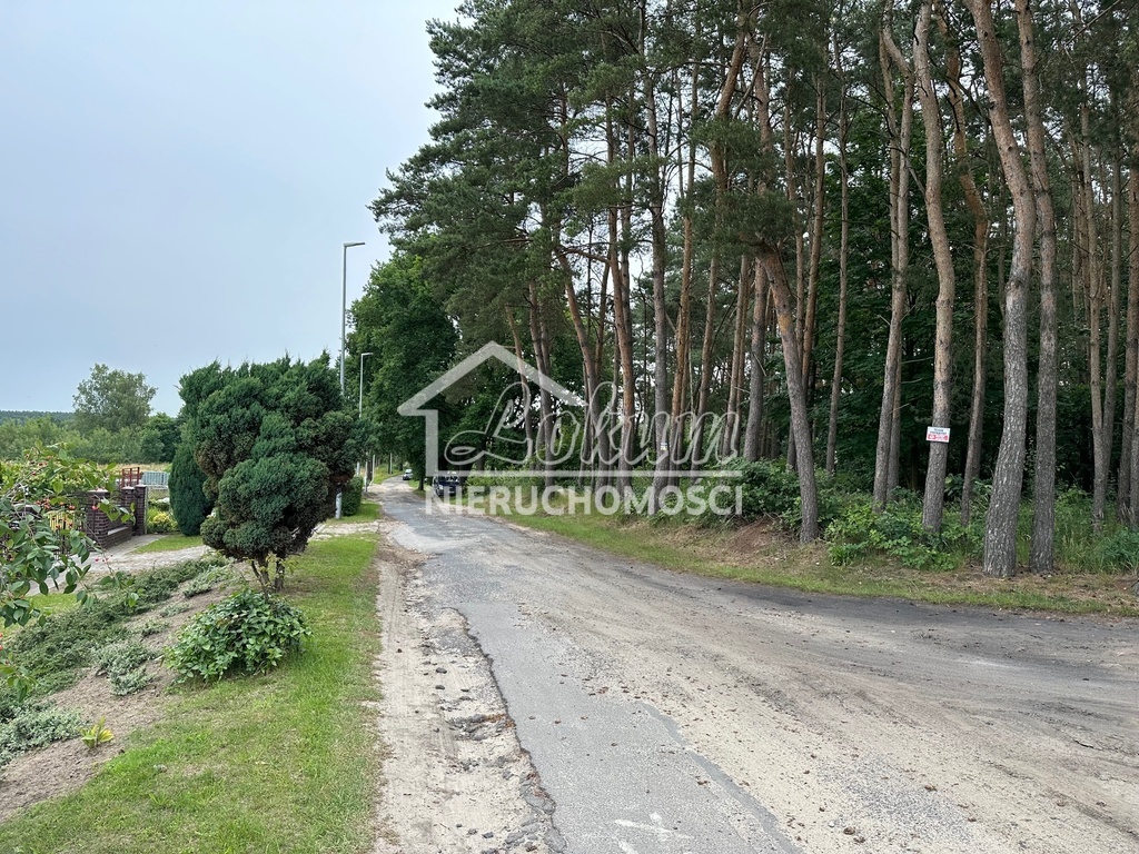 Działka rolna 1,63&nbsp;ha, Szczecin - zdjęcie 12
