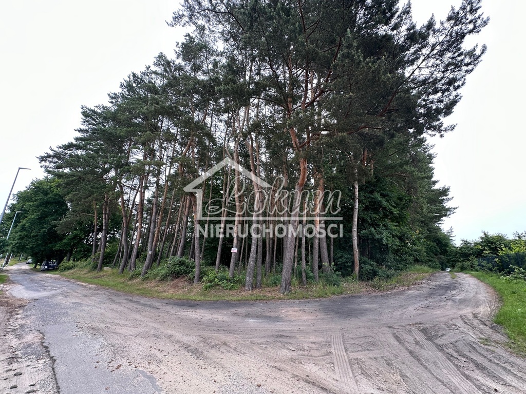 Działka rolna 1,63&nbsp;ha, Szczecin - zdjęcie 11