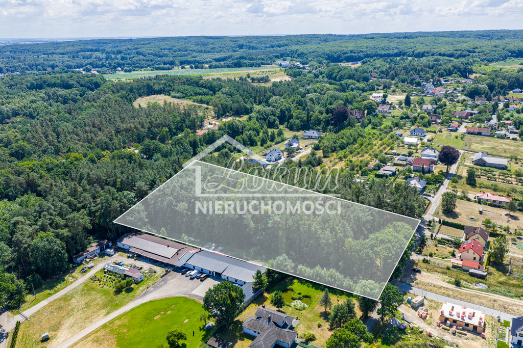 Działka rolna 1,63&nbsp;ha, Szczecin - zdjęcie 6
