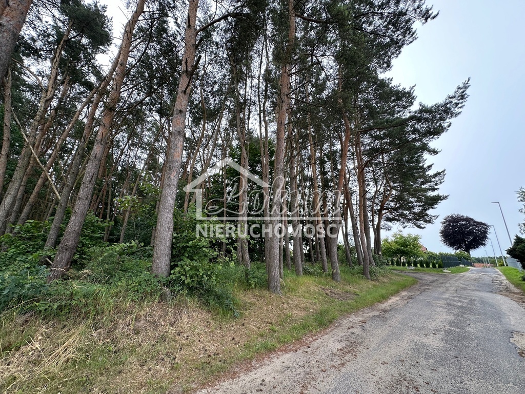 Działka rolna 1,63&nbsp;ha, Szczecin - zdjęcie 10