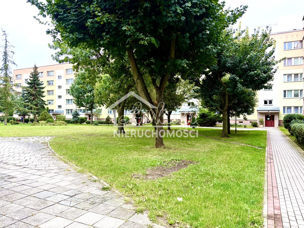 Mieszkanie 42,2 m², Szczecin, Władysława Szafera - zdjęcie 11