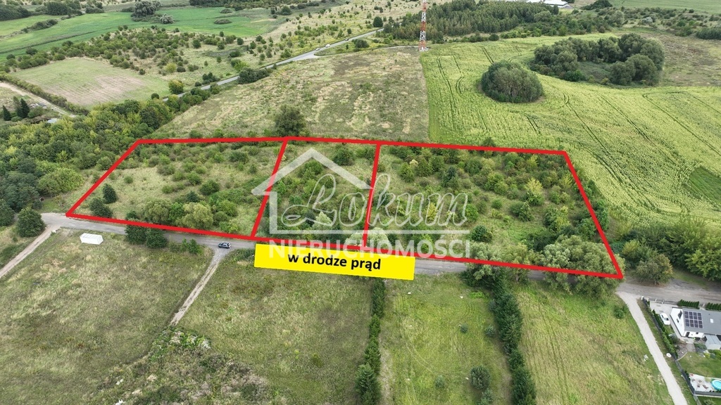 Działka inwestycyjna 1,03&nbsp;ha, Dołuje - zdjęcie 5