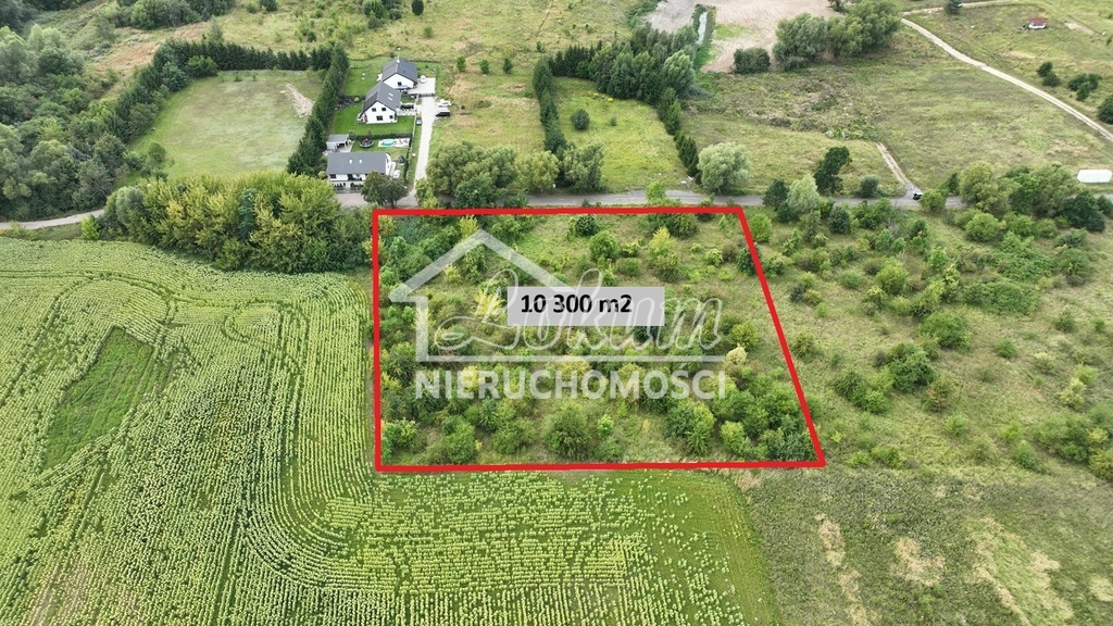 Działka inwestycyjna 1,03&nbsp;ha, Dołuje - zdjęcie 1