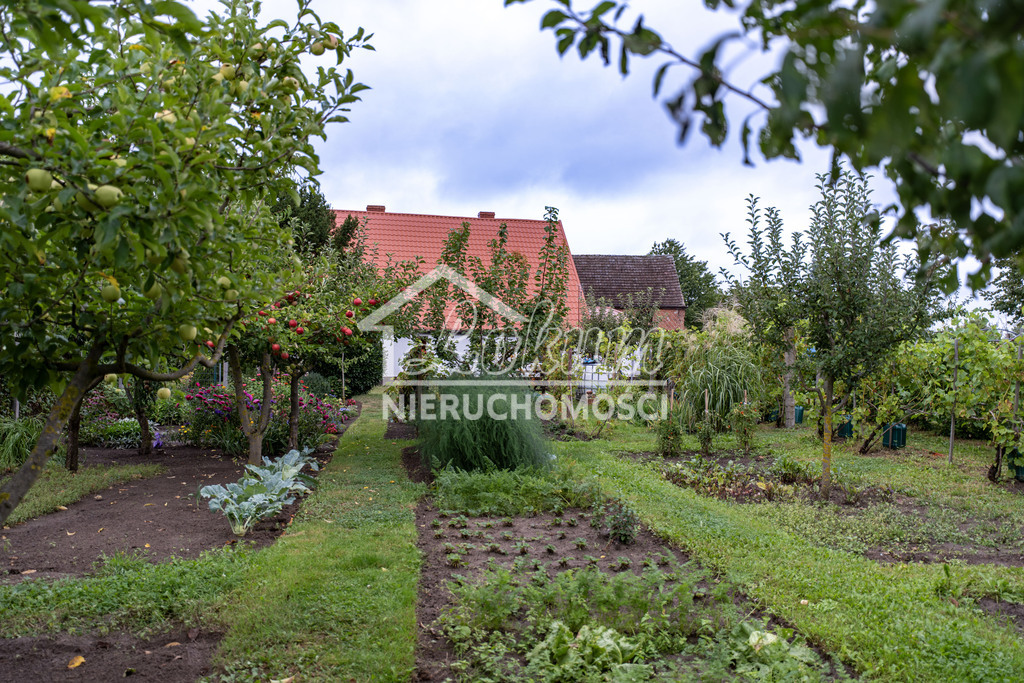 Dom 200&nbsp;m², Słodkowo - zdjęcie 5