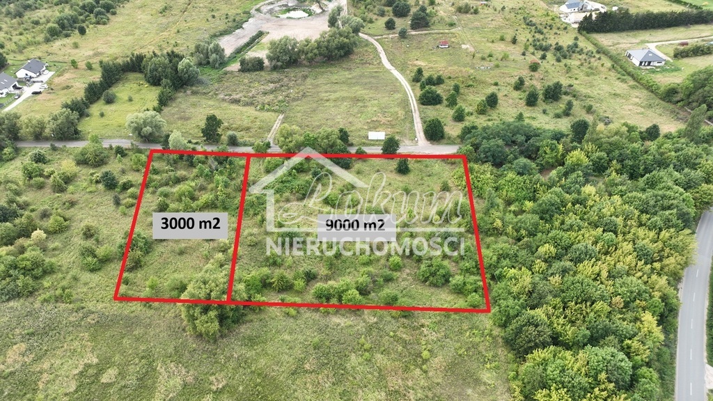 Działka budowlana 3000&nbsp;m², Dołuje - zdjęcie 3