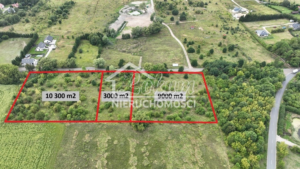 Działka budowlana 3000&nbsp;m², Dołuje - zdjęcie 1