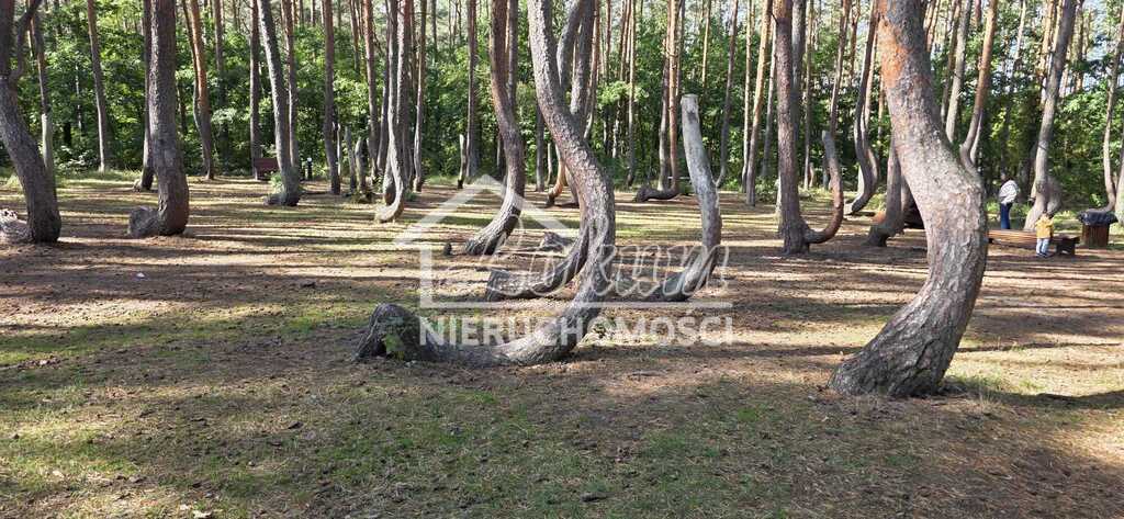 Mieszkanie 34,5 m², Nowe Czarnowo - zdjęcie 11