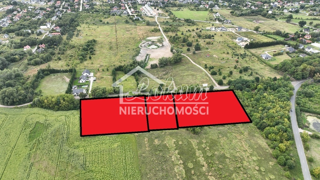 Działka budowlana 9000 m², Dołuje - zdjęcie 4