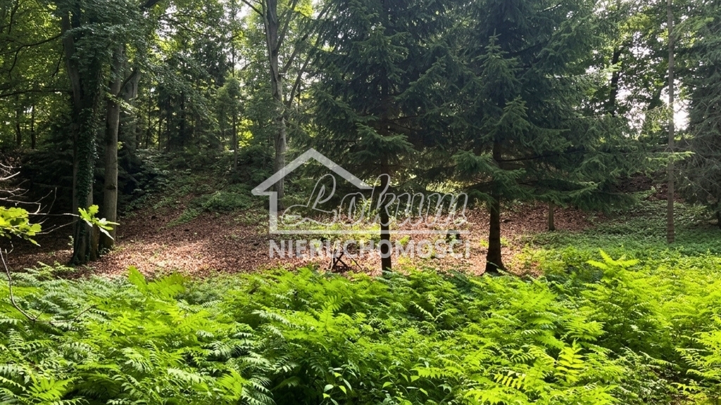 Działka budowlana 3206 m², Klępnica - zdjęcie 4