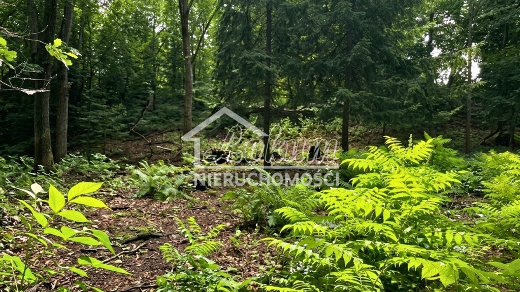 Działka budowlana 3206 m², Klępnica - zdjęcie 3
