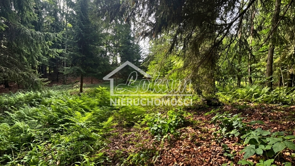 Działka budowlana 3206 m², Klępnica - zdjęcie 2