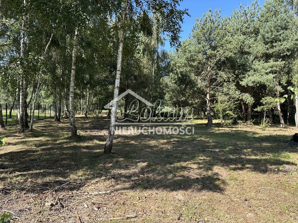 Działka budowlana 1160 m², Ładzin - zdjęcie 6