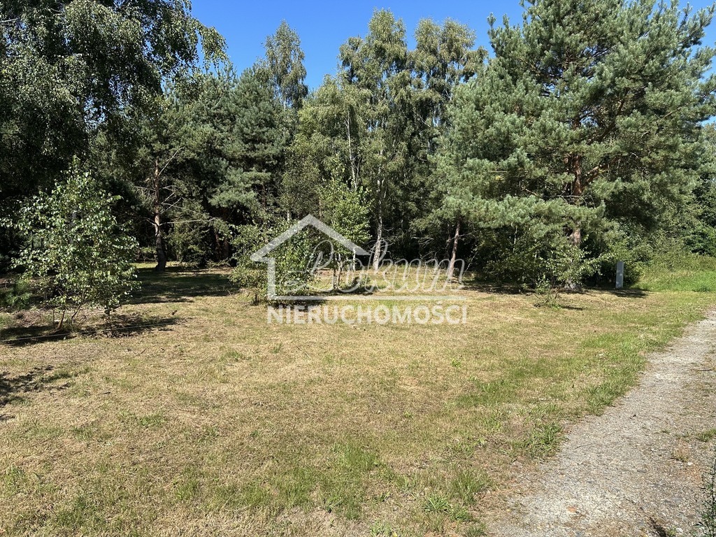 Działka budowlana 1160 m², Ładzin - zdjęcie 5