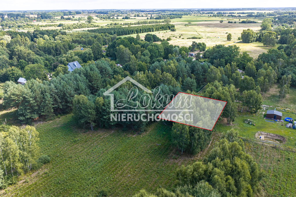 Działka budowlana 1160 m², Ładzin - zdjęcie 16