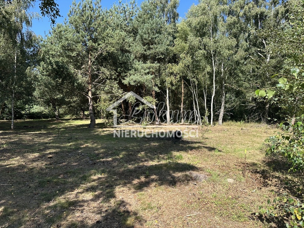 Działka budowlana 1160 m², Ładzin - zdjęcie 7