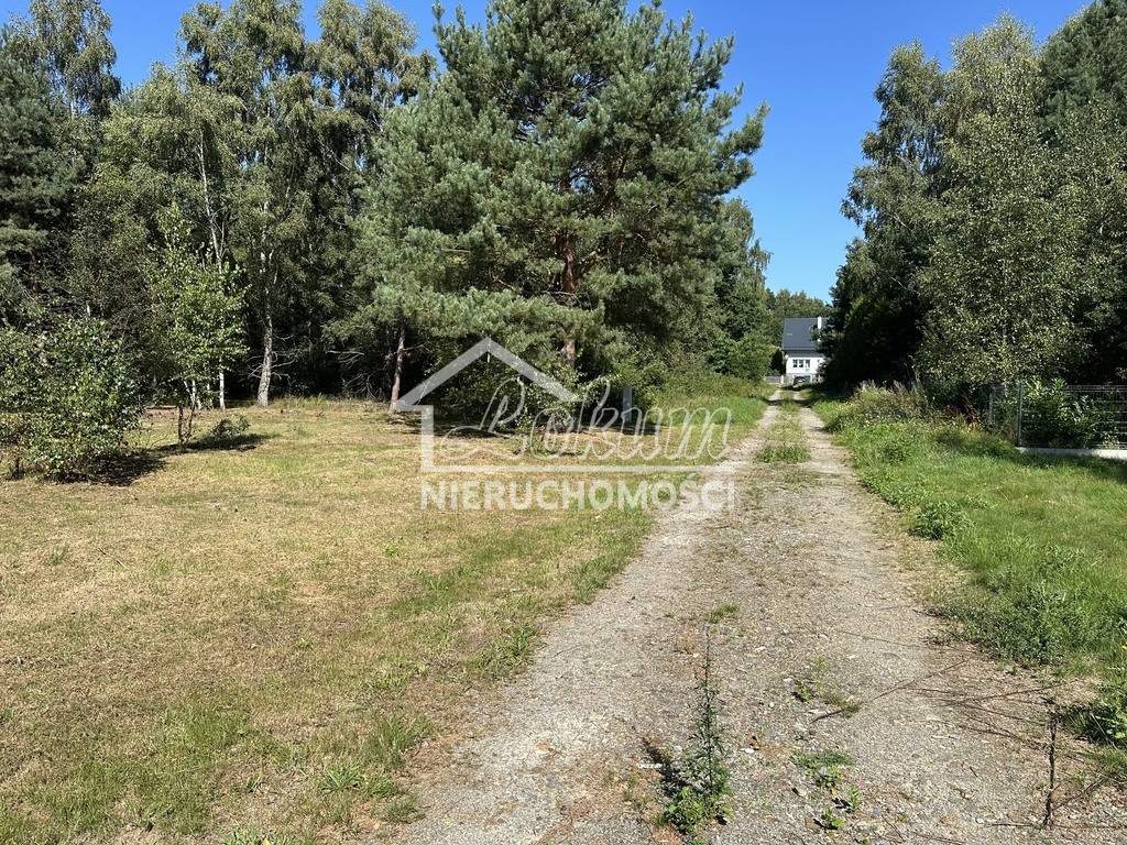 Działka budowlana 1160 m², Ładzin - zdjęcie 4