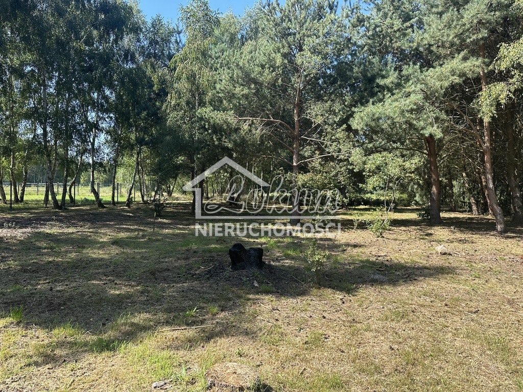 Działka budowlana 1160 m², Ładzin - zdjęcie 8