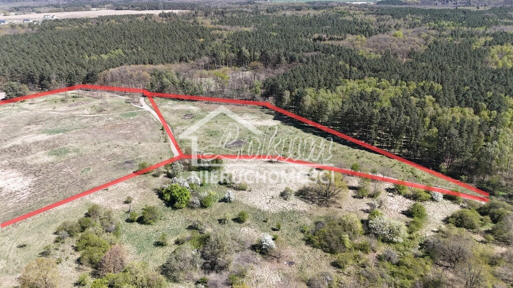 Działka budowlana 6,05 ha, Daleszewo, Sportowa - zdjęcie 9