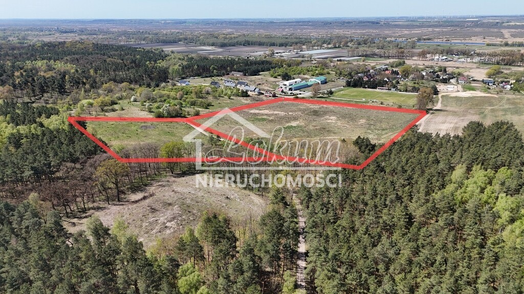 Działka budowlana 6,05 ha, Daleszewo, Sportowa - zdjęcie 4