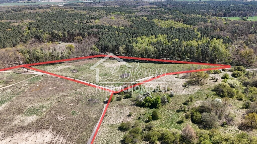 Działka budowlana 6,05 ha, Daleszewo, Sportowa - zdjęcie 10
