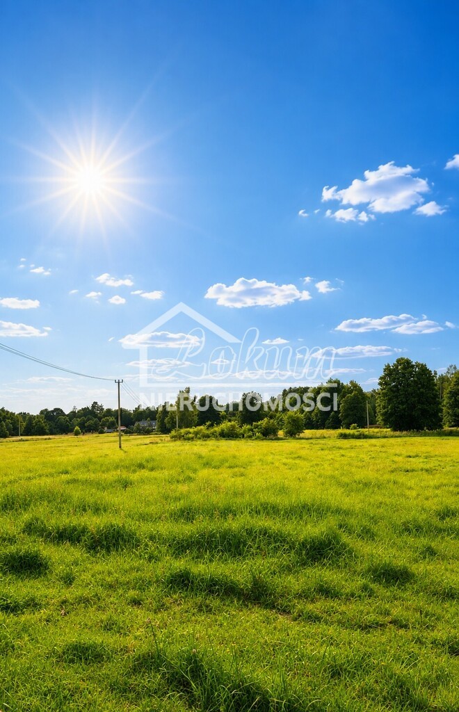 Działka budowlana 5000&nbsp;m², Drogoradz - zdjęcie 3