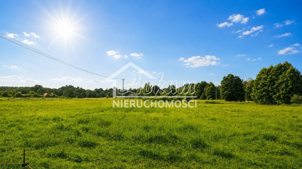 Działka budowlana 5000&nbsp;m², Drogoradz - zdjęcie 1