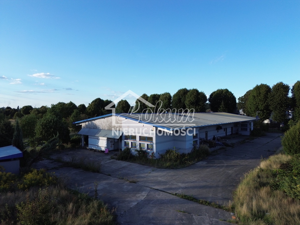 Magazyn do wynajęcia, 650 m², Police - zdjęcie 2