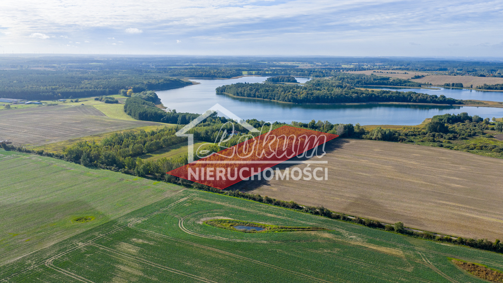 Działka rolna 3,16&nbsp;ha, Wełtyń - zdjęcie 1