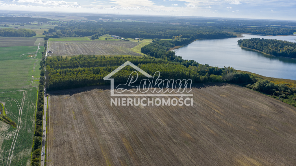 Działka rolna 3,16&nbsp;ha, Wełtyń - zdjęcie 4