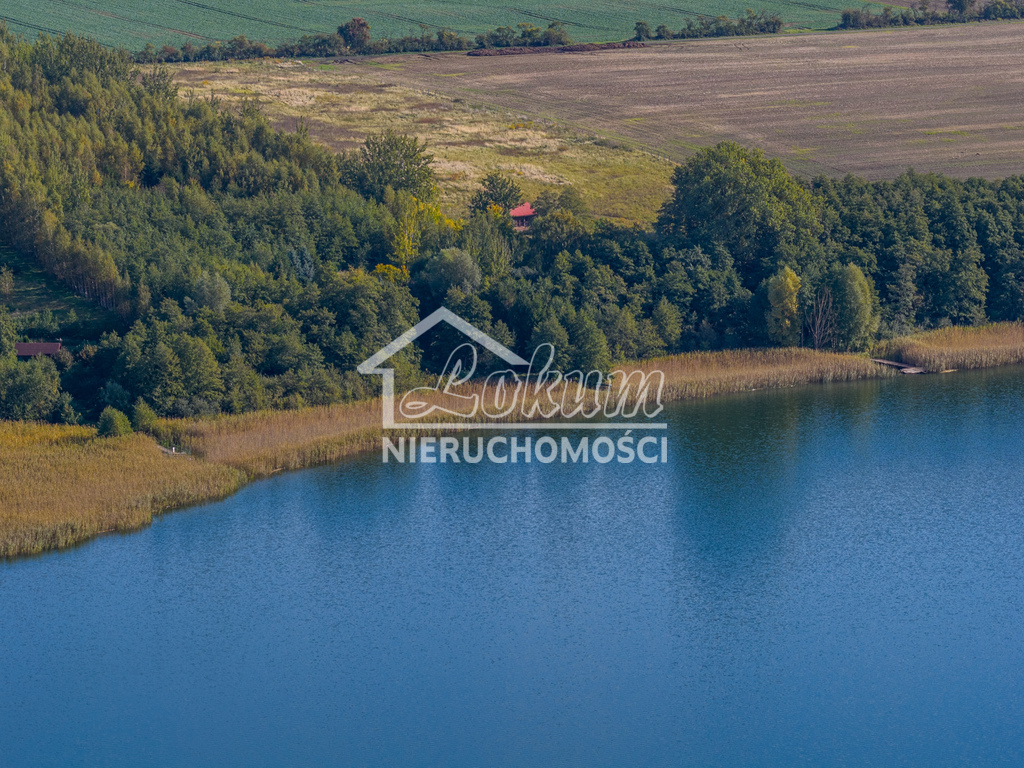 Działka rolna 3,16&nbsp;ha, Wełtyń - zdjęcie 9