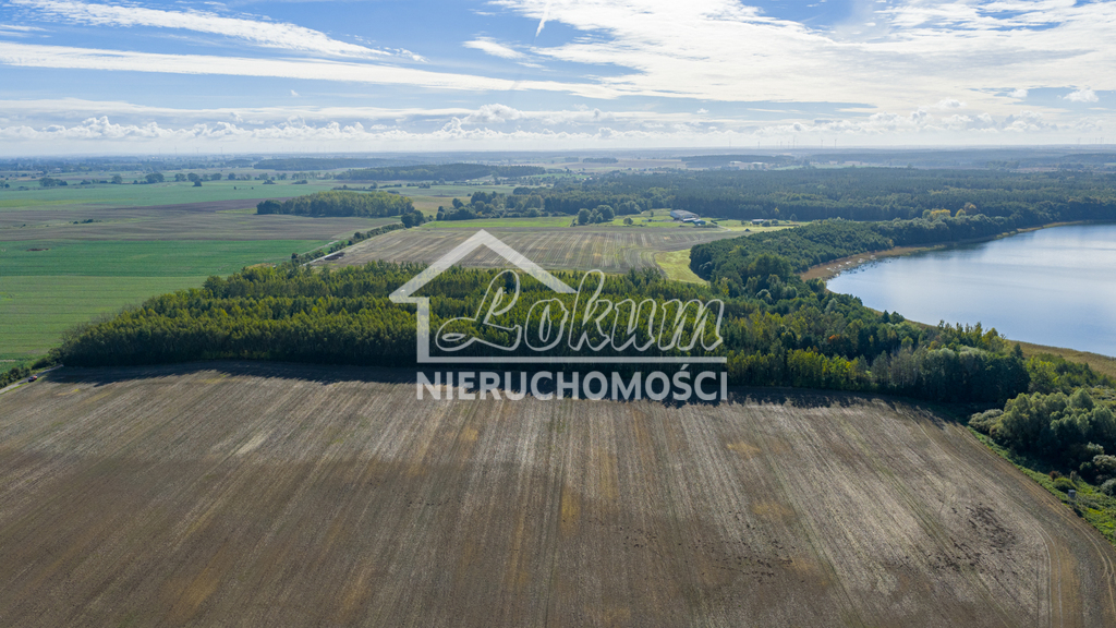 Działka rolna 3,16&nbsp;ha, Wełtyń - zdjęcie 17
