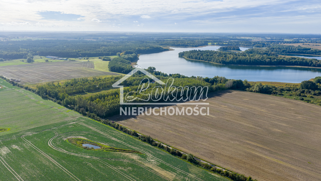 Działka rolna 3,16&nbsp;ha, Wełtyń - zdjęcie 3