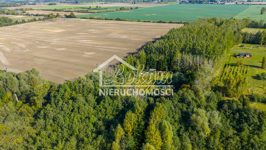 Działka rolna 3,16&nbsp;ha, Wełtyń - zdjęcie 14
