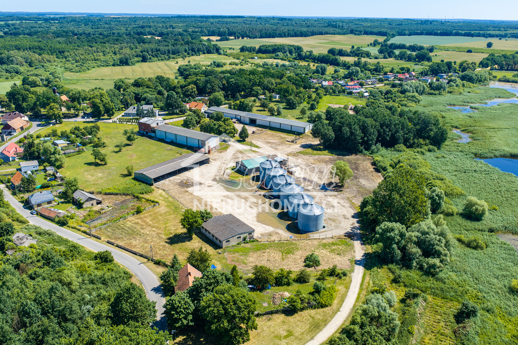 Działka budowlana 4,95 ha, Piaseczno - zdjęcie 3