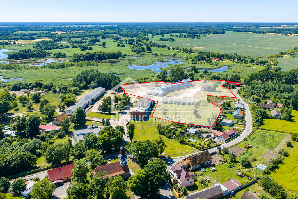 Działka budowlana 4,95 ha, Piaseczno - zdjęcie 4
