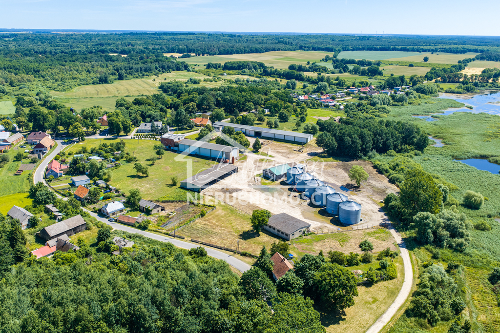 Działka budowlana 4,95 ha, Piaseczno - zdjęcie 2
