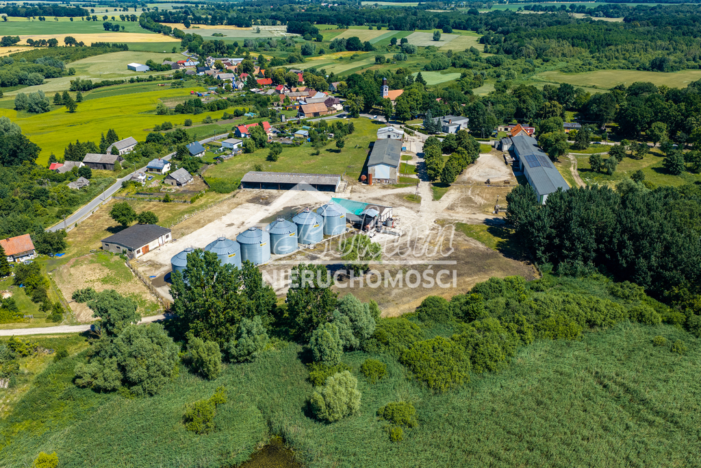 Działka budowlana 4,95 ha, Piaseczno - zdjęcie 11