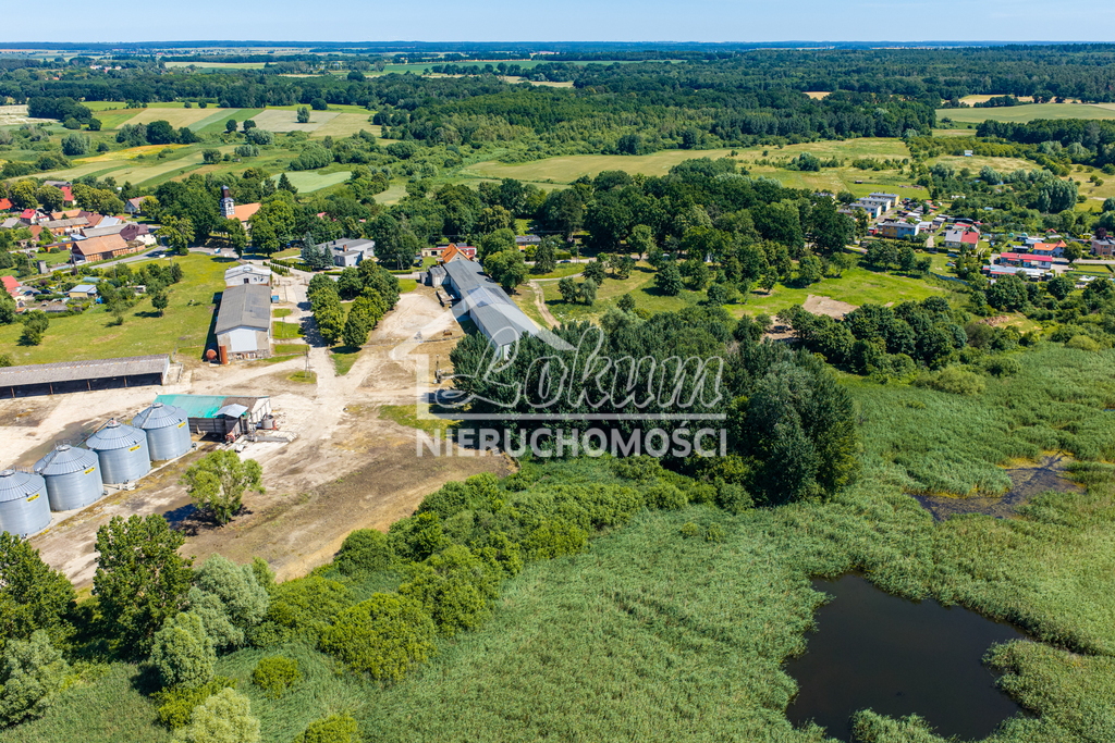 Działka budowlana 4,95 ha, Piaseczno - zdjęcie 10