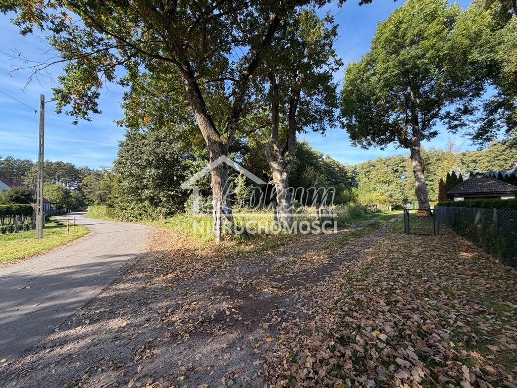 Działka rekreacyjna 699 m², Myślibórz Wielki - zdjęcie 17