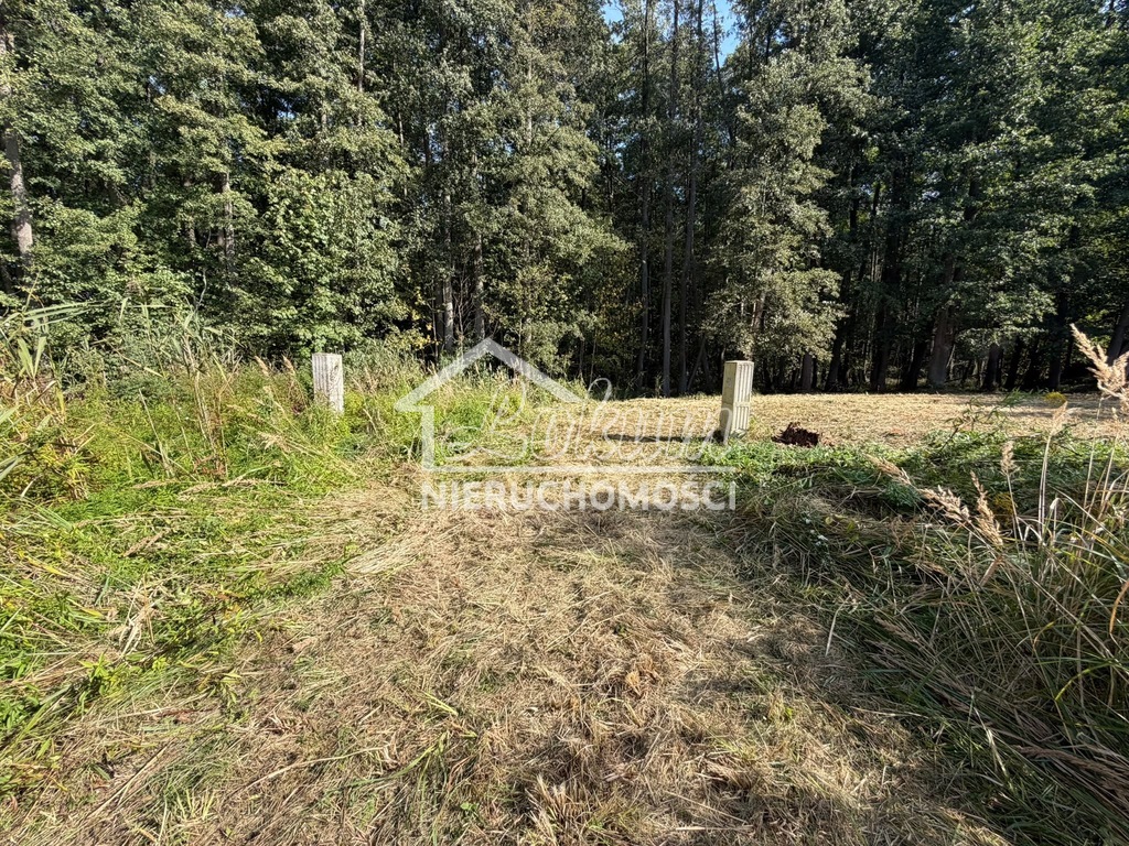 Działka rekreacyjna 699 m², Myślibórz Wielki - zdjęcie 5