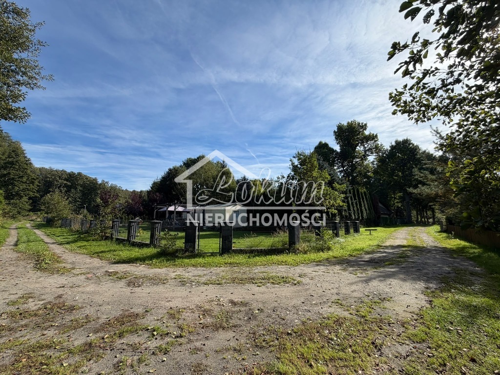 Działka rekreacyjna 699 m², Myślibórz Wielki - zdjęcie 16