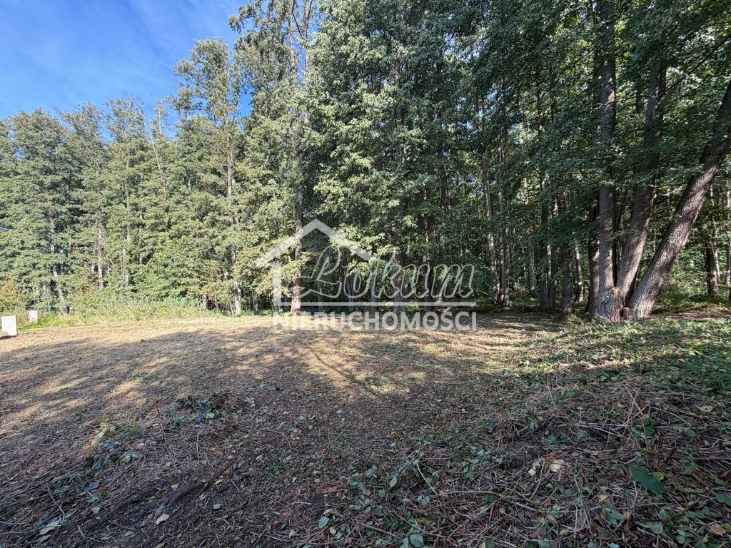 Działka rekreacyjna 699 m², Myślibórz Wielki - zdjęcie 4