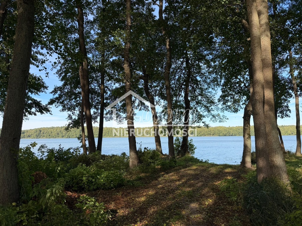 Działka rekreacyjna 699 m², Myślibórz Wielki - zdjęcie 7