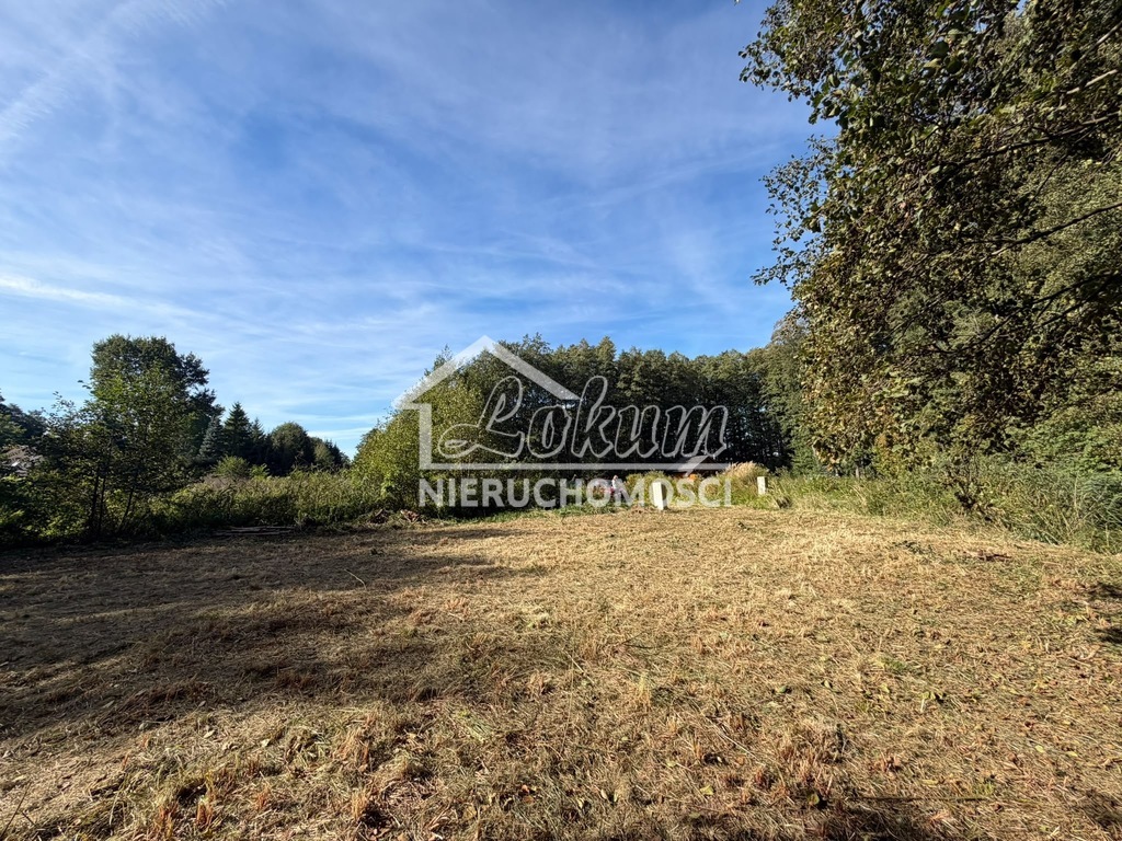 Działka rekreacyjna 699 m², Myślibórz Wielki - zdjęcie 2