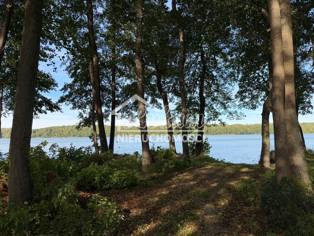 Działka rekreacyjna 699 m², Myślibórz Wielki - zdjęcie 10