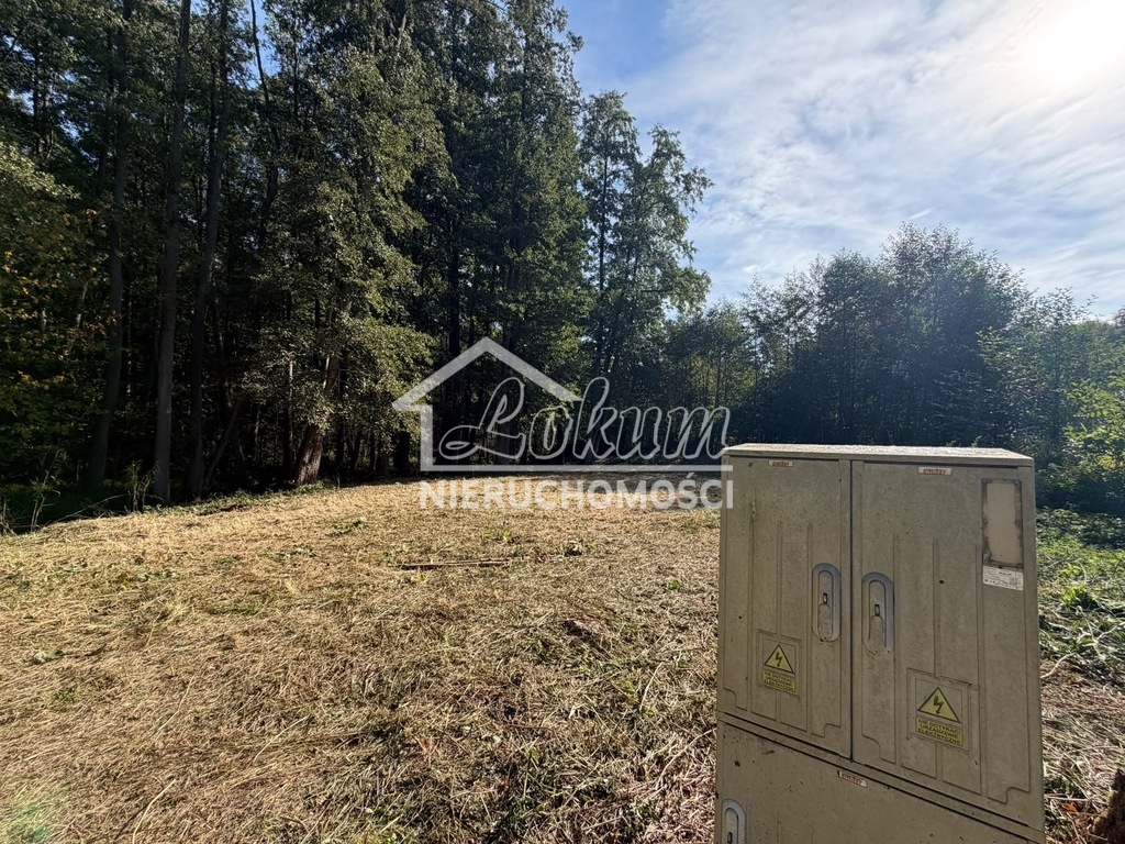 Działka rekreacyjna 699 m², Myślibórz Wielki - zdjęcie 3
