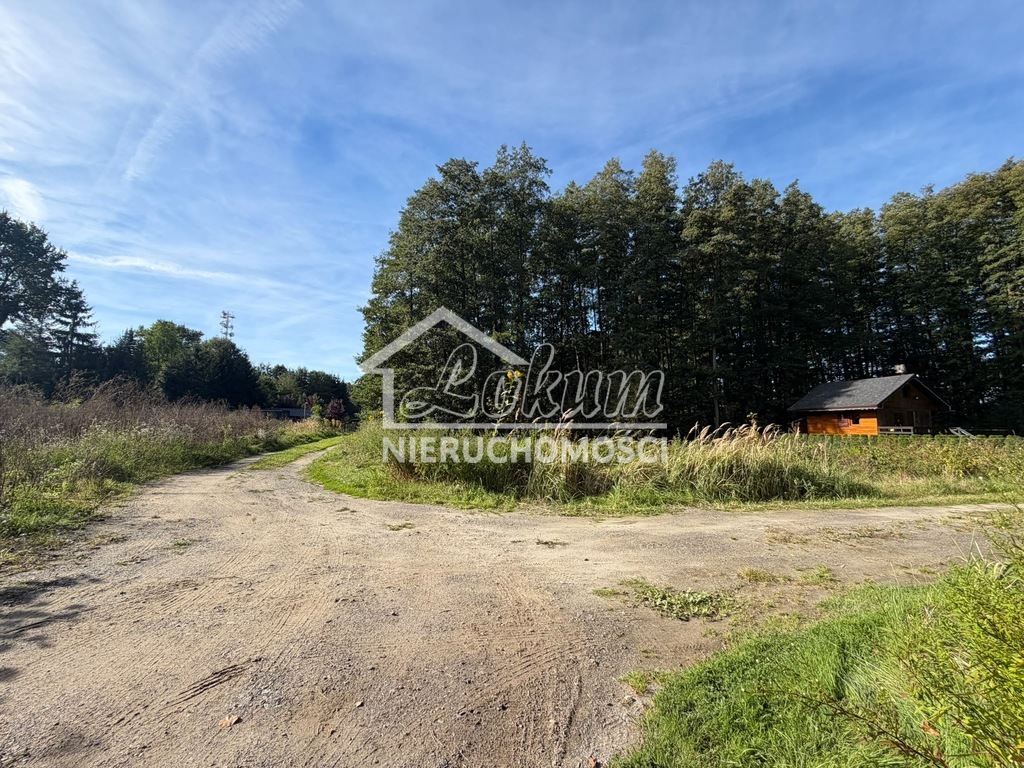 Działka rekreacyjna 699 m², Myślibórz Wielki - zdjęcie 6