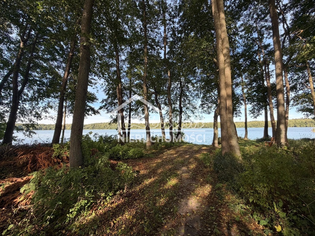 Działka rekreacyjna 699 m², Myślibórz Wielki - zdjęcie 8