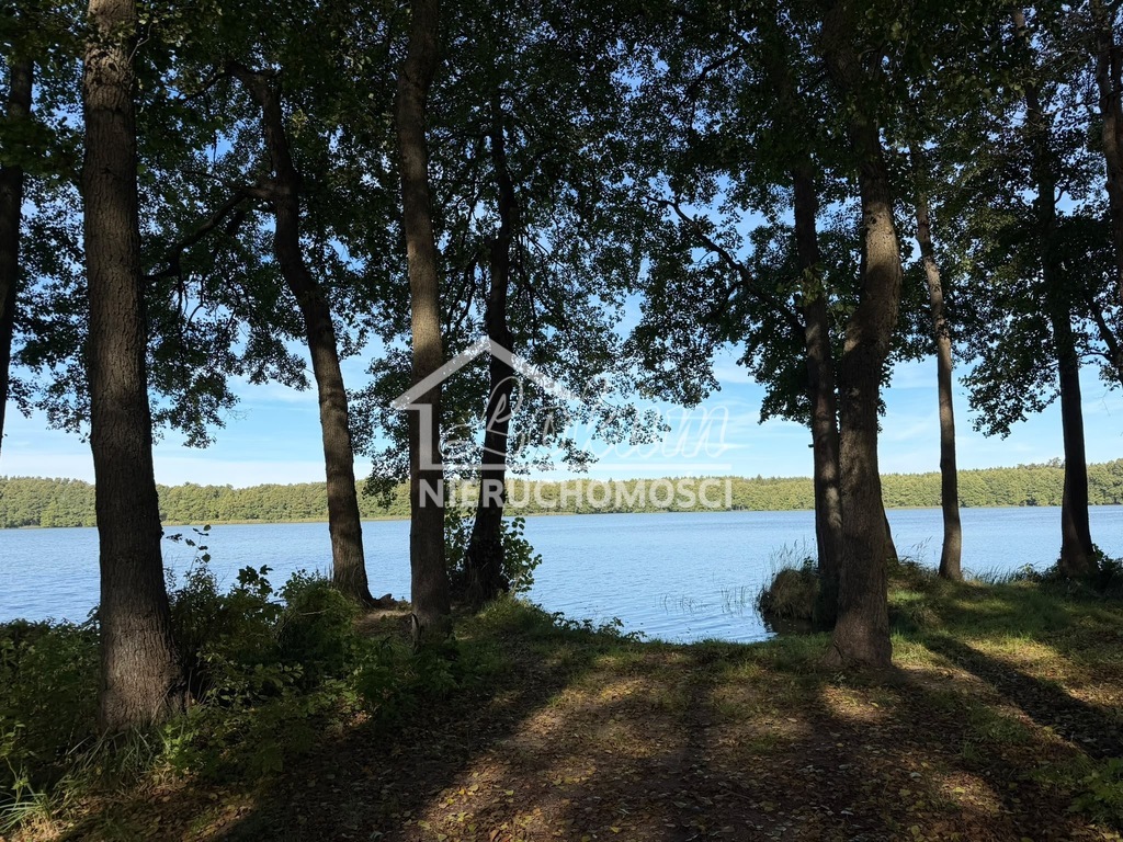 Działka rekreacyjna 699 m², Myślibórz Wielki - zdjęcie 11