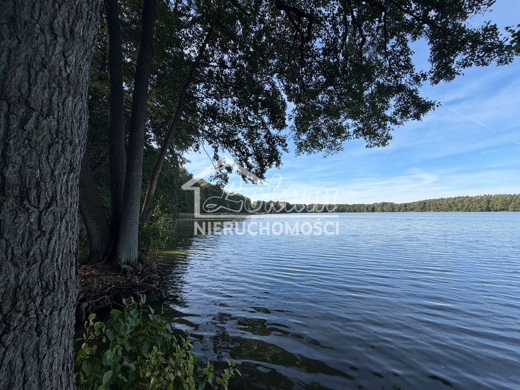 Działka rekreacyjna 699 m², Myślibórz Wielki - zdjęcie 12